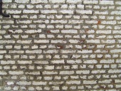 painted-brick-wall w725 h544