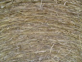 hay-roll-close-up w725 h544