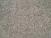 lichen-concrete w725 h544