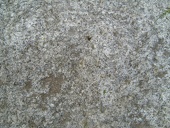 white-fresh-concrete-texture w725 h544