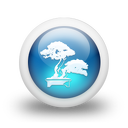 048980-3d-glossy-blue-orb-icon-natural-wonders-tree-bonsai1-sc44