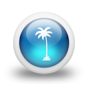 048982-3d-glossy-blue-orb-icon-natural-wonders-tree-palm2