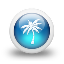 048984-3d-glossy-blue-orb-icon-natural-wonders-tree-palm4
