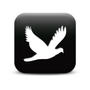 126318-simple-black-square-icon-animals-animal-bird