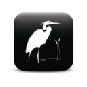 126325-simple-black-square-icon-animals-animal-bird8-sc45
