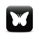 126331-simple-black-square-icon-animals-animal-butterfly5-sc48