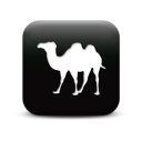 126332-simple-black-square-icon-animals-animal-camel