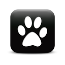 126334-simple-black-square-icon-animals-animal-cat-print