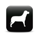126360-simple-black-square-icon-animals-animal-dog2