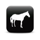 126386-simple-black-square-icon-animals-animal-horse1