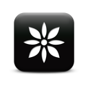 127236-simple-black-square-icon-natural-wonders-flower1