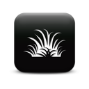 127260-simple-black-square-icon-natural-wonders-grass1