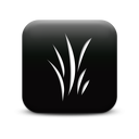 127265-simple-black-square-icon-natural-wonders-leaf