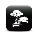 127341-simple-black-square-icon-natural-wonders-tree-bonsai1-sc44