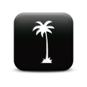 127343-simple-black-square-icon-natural-wonders-tree-palm2