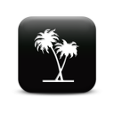 127342-simple-black-square-icon-natural-wonders-tree-palm1
