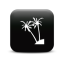 127344-simple-black-square-icon-natural-wonders-tree-palm3
