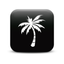 127345-simple-black-square-icon-natural-wonders-tree-palm4