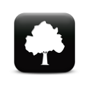 127347-simple-black-square-icon-natural-wonders-tree5
