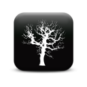 127346-simple-black-square-icon-natural-wonders-tree2