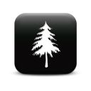 127349-simple-black-square-icon-natural-wonders-tree8