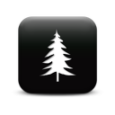 127350-simple-black-square-icon-natural-wonders-tree9