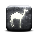 130215-whitewashed-star-patterned-icon-animals-animal-camel2-sc36