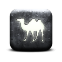 130214-whitewashed-star-patterned-icon-animals-animal-camel