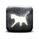 130224-whitewashed-star-patterned-icon-animals-animal-cat3