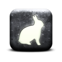 130294-whitewashed-star-patterned-icon-animals-animal-rabbit1