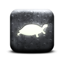 130310-whitewashed-star-patterned-icon-animals-animal-turtle