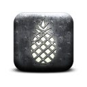 131019-whitewashed-star-patterned-icon-food-beverage-food-pineapple-sc44