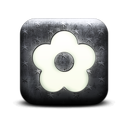 131123-whitewashed-star-patterned-icon-natural-wonders-flower15-sc48