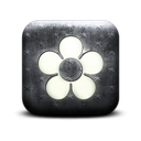 131125-whitewashed-star-patterned-icon-natural-wonders-flower17