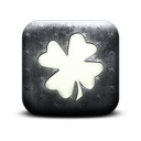 131146-whitewashed-star-patterned-icon-natural-wonders-leaf-shamrock