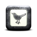 131644-whitewashed-star-patterned-icon-social-media-logos-twitter-bird2-square