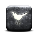 131645-whitewashed-star-patterned-icon-social-media-logos-twitter-bird2