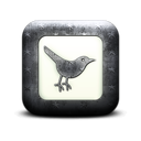 131646-whitewashed-star-patterned-icon-social-media-logos-twitter-bird3-square