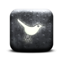 131647-whitewashed-star-patterned-icon-social-media-logos-twitter-bird3