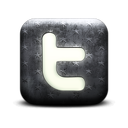131649-whitewashed-star-patterned-icon-social-media-logos-twitter