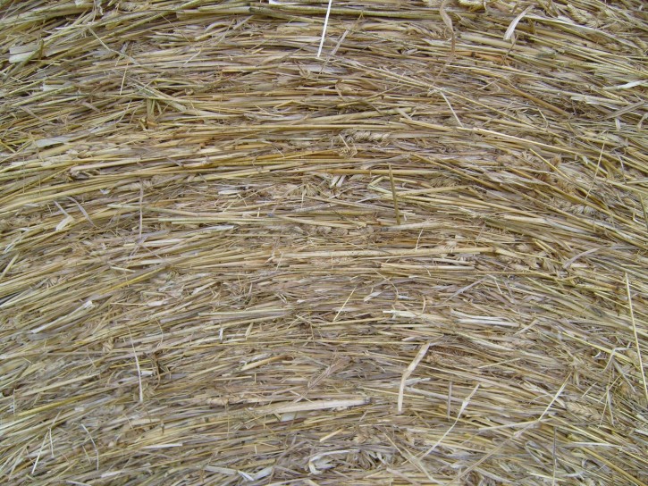 hay-roll-close-up_w725_h544.jpg