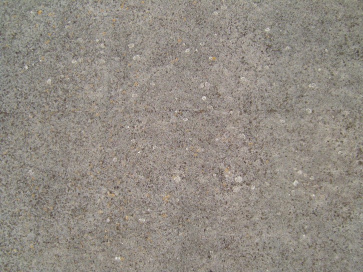 lichen-concrete_w725_h544.jpg