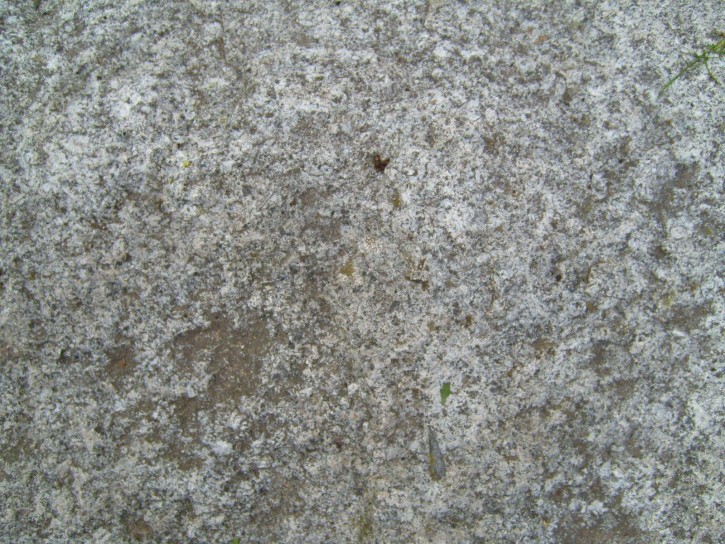 white-fresh-concrete-texture_w725_h544.jpg