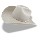 Hat-cowboy-white-icon