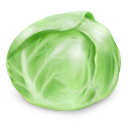 Cabbage-icon