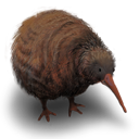 Kiwi-Flightless-Bird-icon