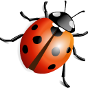 ladybird-icon