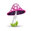 mushroom-pink-icon