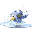 pool-bird-icon.png