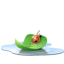 pool-leaf-icon